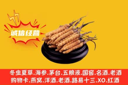 武威市天祝回收冬虫夏草